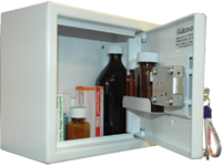 Controlled Drugs Cabinet 11 Litre 250mm (H)